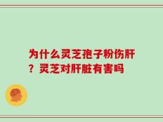 为什么灵芝孢子粉伤肝？灵芝对肝脏有害吗