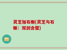 灵芝加石槲(灵芝与石槲：双剑合璧)
