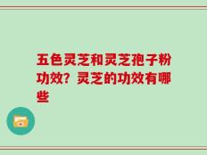 五色灵芝和灵芝孢子粉功效？灵芝的功效有哪些
