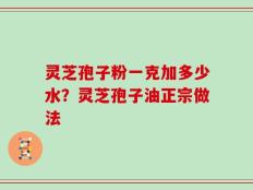 灵芝孢子粉一克加多少水？灵芝孢子油正宗做法
