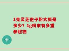 1克灵芝孢子粉大概是多少？1g粉末有多重参照物