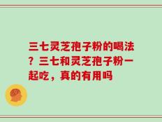 三七灵芝孢子粉的喝法？三七和灵芝孢子粉一起吃，真的有用吗