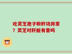 吃灵芝孢子粉肝功异常？灵芝对肝脏有害吗