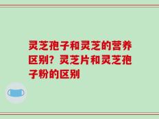 灵芝孢子和灵芝的营养区别？灵芝片和灵芝孢子粉的区别
