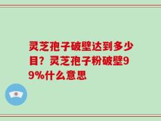 灵芝孢子破壁达到多少目？灵芝孢子粉破壁99%什么意思