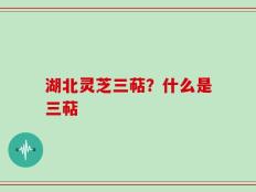 湖北灵芝三萜？什么是三萜