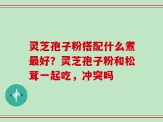 灵芝孢子粉搭配什么煮最好？灵芝孢子粉和松茸一起吃，冲突吗