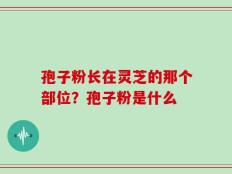 孢子粉长在灵芝的那个部位？孢子粉是什么