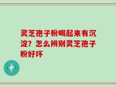 灵芝孢子粉喝起来有沉淀？怎么辨别灵芝孢子粉好坏