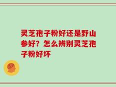 灵芝孢子粉好还是野山参好？怎么辨别灵芝孢子粉好坏