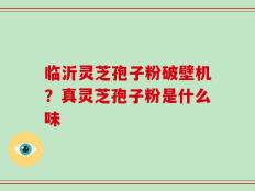 临沂灵芝孢子粉破壁机？真灵芝孢子粉是什么味