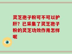 灵芝孢子粉可不可以护肝？已采集了灵芝孢子粉的灵芝功效作用怎样呢