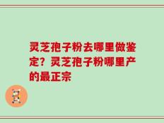 灵芝孢子粉去哪里做鉴定？灵芝孢子粉哪里产的最正宗
