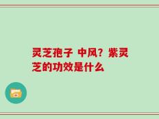 灵芝孢子 中风？紫灵芝的功效是什么
