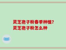 灵芝孢子粉春季种植？灵芝孢子粉怎么种
