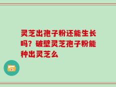 灵芝出孢子粉还能生长吗？破壁灵芝孢子粉能种出灵芝么