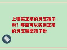 上哪买正宗的灵芝孢子粉？哪里可以买到正宗的灵芝破壁孢子粉