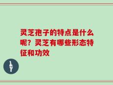灵芝孢子的特点是什么呢？灵芝有哪些形态特征和功效