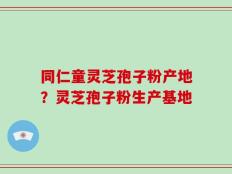 同仁童灵芝孢子粉产地？灵芝孢子粉生产基地