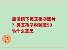 显微镜下灵芝孢子图片？灵芝孢子粉破壁99%什么意思