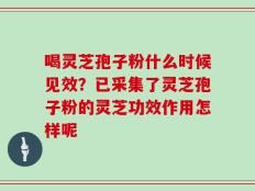 喝灵芝孢子粉什么时候见效？已采集了灵芝孢子粉的灵芝功效作用怎样呢