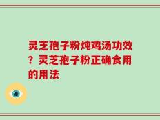 灵芝孢子粉炖鸡汤功效？灵芝孢子粉正确食用的用法