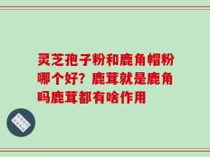 灵芝孢子粉和鹿角帽粉哪个好？鹿茸就是鹿角吗鹿茸都有啥作用