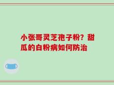 小张哥灵芝孢子粉？甜瓜的白粉病如何防治