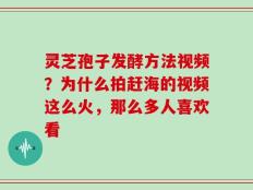 灵芝孢子发酵方法视频？为什么拍赶海的视频这么火，那么多人喜欢看