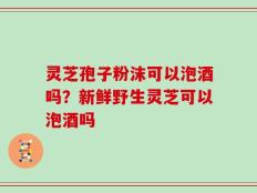 灵芝孢子粉沫可以泡酒吗？新鲜野生灵芝可以泡酒吗