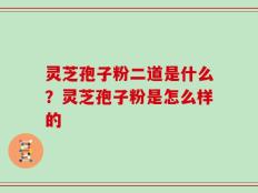 灵芝孢子粉二道是什么？灵芝孢子粉是怎么样的