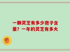 一颗灵芝有多少孢子含量？一年的灵芝有多大