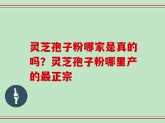 灵芝孢子粉哪家是真的吗？灵芝孢子粉哪里产的最正宗