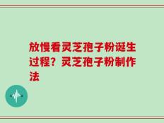 放慢看灵芝孢子粉诞生过程？灵芝孢子粉制作法