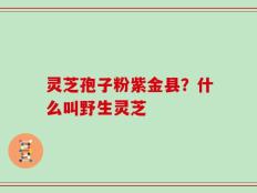 灵芝孢子粉紫金县？什么叫野生灵芝