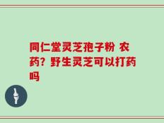 同仁堂灵芝孢子粉 农药？野生灵芝可以打药吗