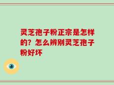 灵芝孢子粉正宗是怎样的？怎么辨别灵芝孢子粉好坏