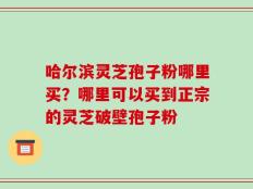 哈尔滨灵芝孢子粉哪里买？哪里可以买到正宗的灵芝破壁孢子粉