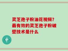 灵芝孢子粉油花视频？最有效的灵芝孢子粉破壁技术是什么