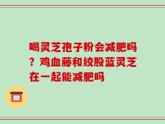 喝灵芝孢子粉会减肥吗？鸡血藤和绞股蓝灵芝在一起能减肥吗