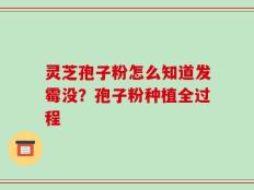 灵芝孢子粉怎么知道发霉没？孢子粉种植全过程