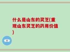 什么是山东的灵芝(重现山东灵芝的药用价值)