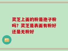 灵芝上面的粉是孢子粉吗？灵芝是表面有粉好还是无粉好