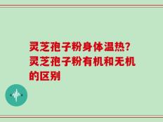 灵芝孢子粉身体温热？灵芝孢子粉有机和无机的区别