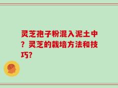 灵芝孢子粉混入泥土中？灵芝的栽培方法和技巧？