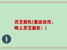 灵芝菌乳(重返自然，喝上灵芝菌乳！)
