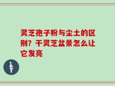 灵芝孢子粉与尘土的区别？干灵芝盆景怎么让它发亮