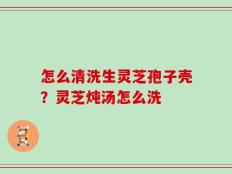 怎么清洗生灵芝孢子壳？灵芝炖汤怎么洗
