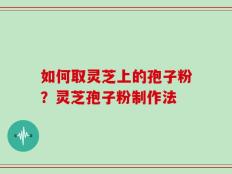 如何取灵芝上的孢子粉？灵芝孢子粉制作法