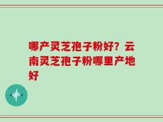 哪产灵芝孢子粉好？云南灵芝孢子粉哪里产地好